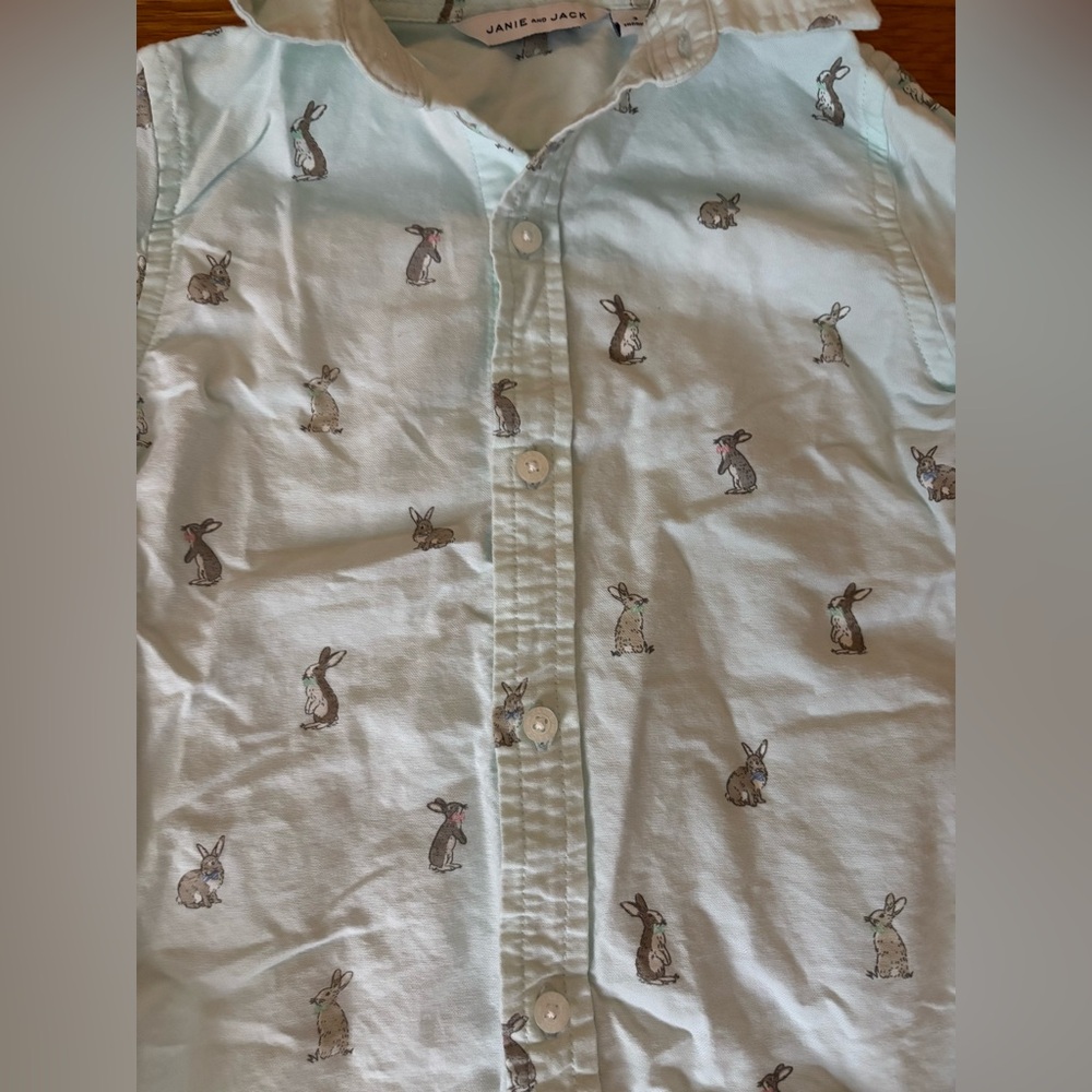 Janie and Jack 3T Boys Pastel Button Down Easter Shirt Spring Outfit - Picture 7 of 8